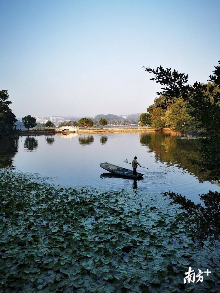 《人勤水常清》。园林工人每天早晨都驾舟打捞湖中漂泊的树叶和垃圾，使西湖水质经常保持清洁。（朱宪明 摄）