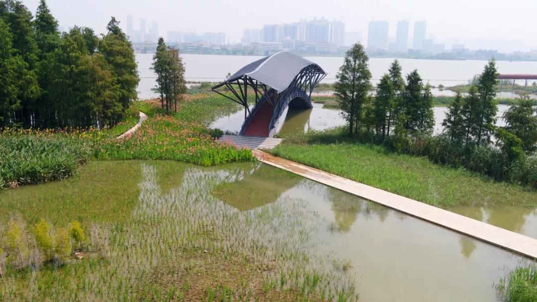 资料图:黄杨河湿地景观 资料图:黄杨河湿地景观