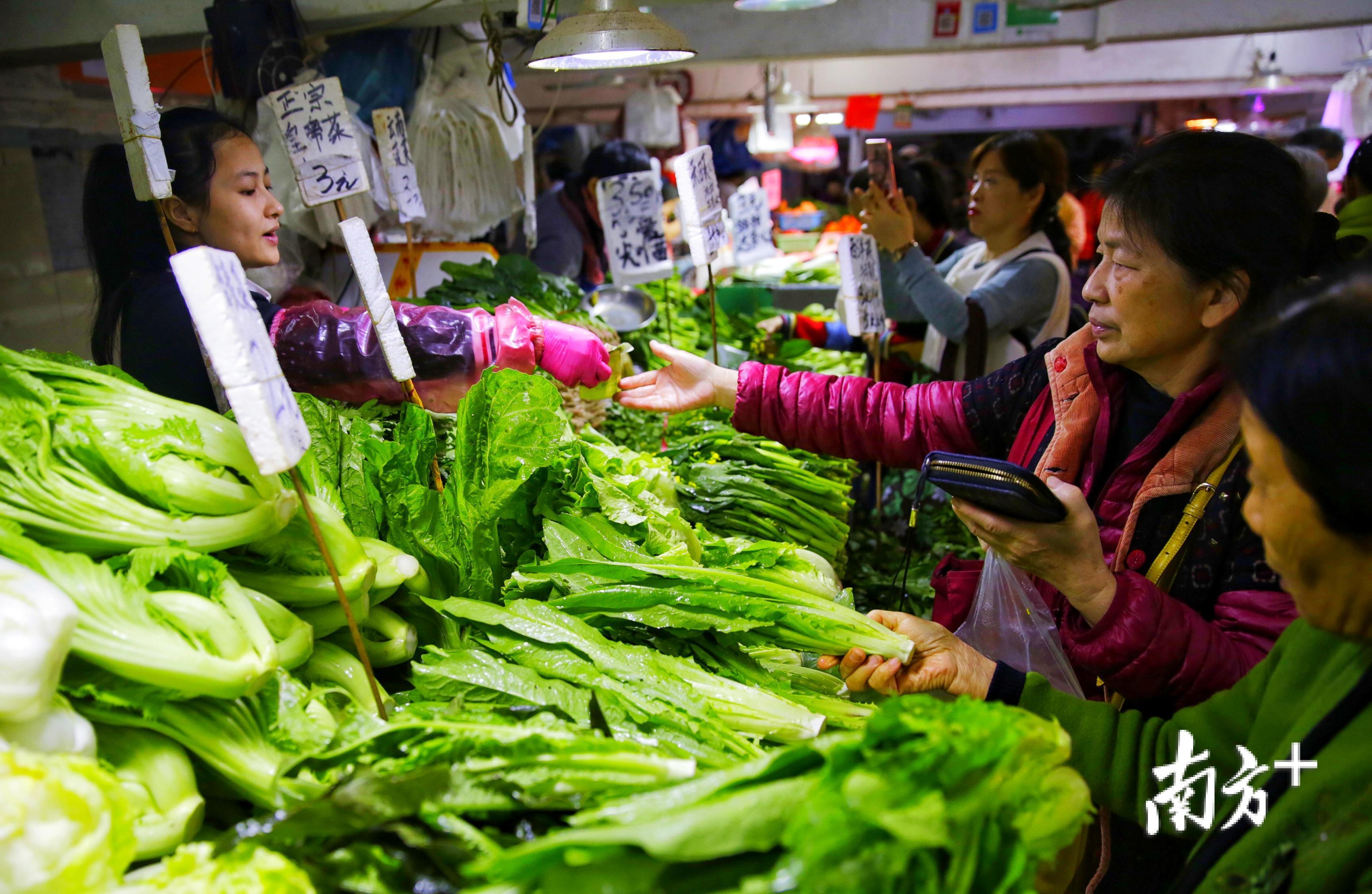 市民"抢鲜一步"来肉菜市场采购_南方plus_南方