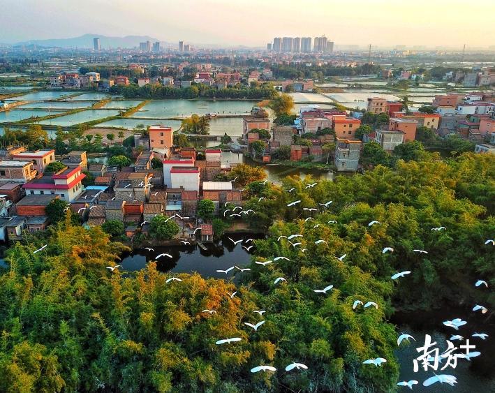 截至12月，九江245个经济社全部通过干净整洁经济社考评验收，先锋力量提升基层群众获得感幸福感。梁平 摄