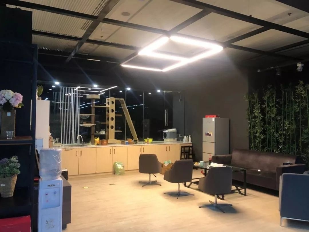 工作休息24小时都在工作室已经成为视效团队的常态。