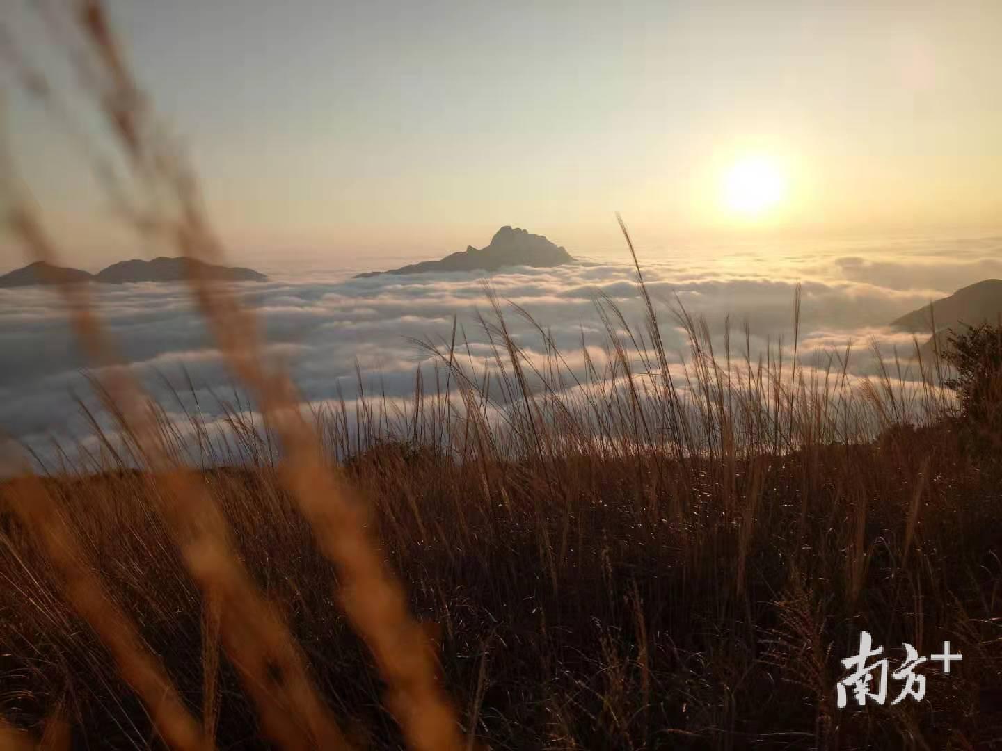 12月23日凤凰山日落云海，如波涛汹涌。