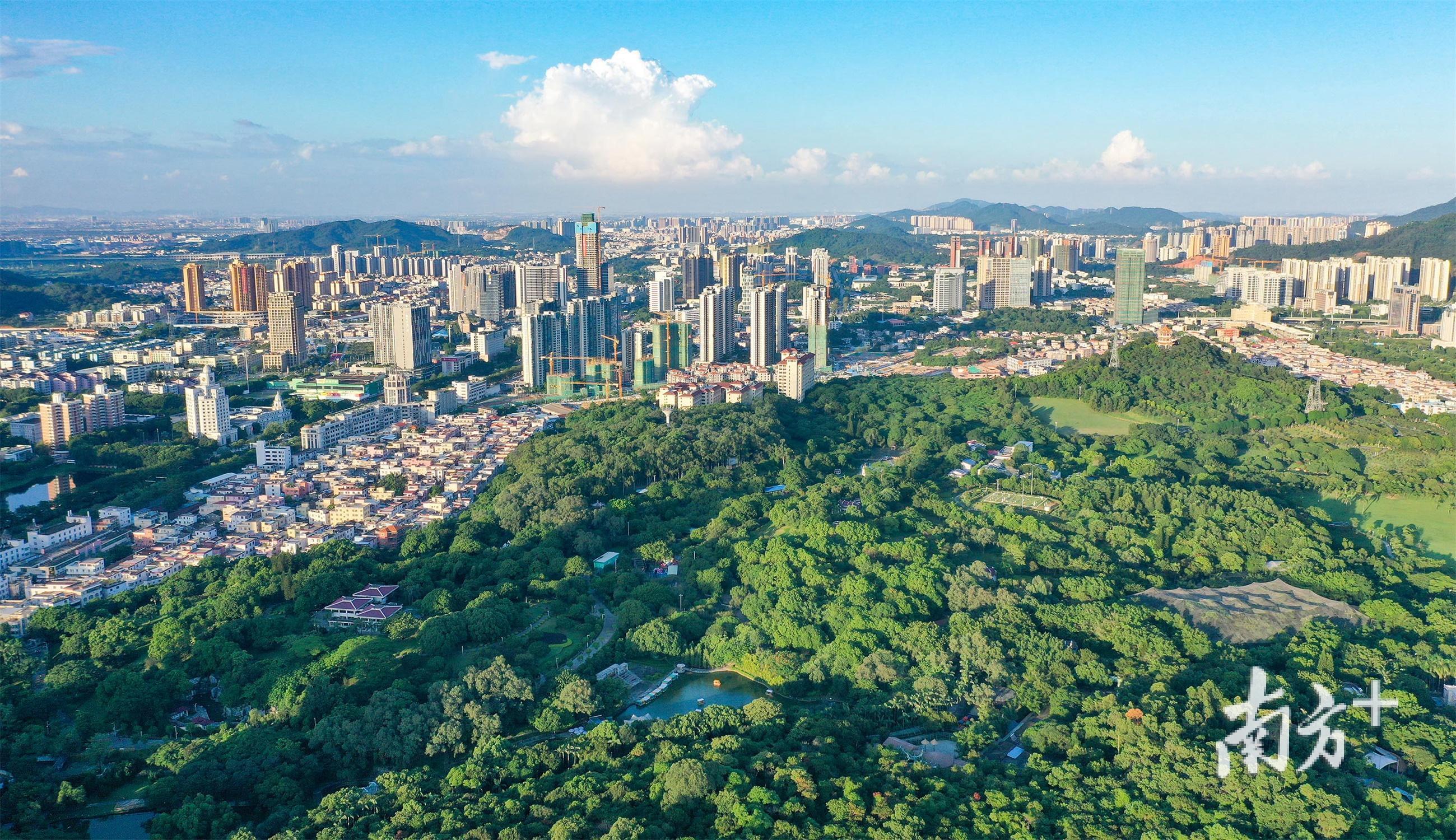 中山已有14个镇区获评广东省森林小镇，数量位居全省第二。图为中山市区紫马岭公园一带。叶志文摄