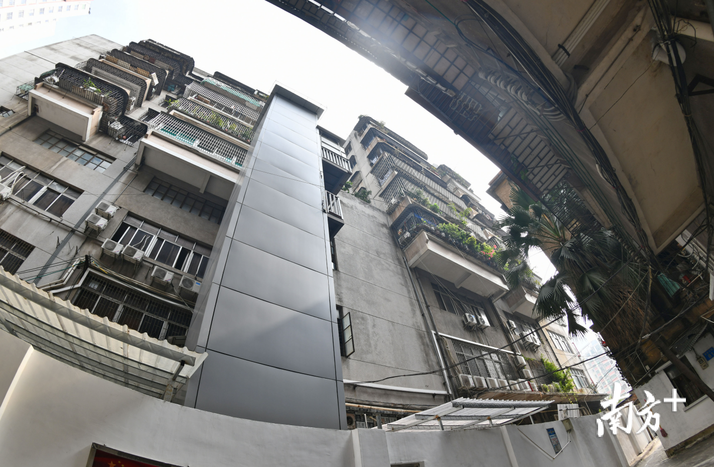 禅城全区旧楼加装电梯批准总量达600余宗，解决一大批老年群体上下楼出行难问题。戴嘉信 摄