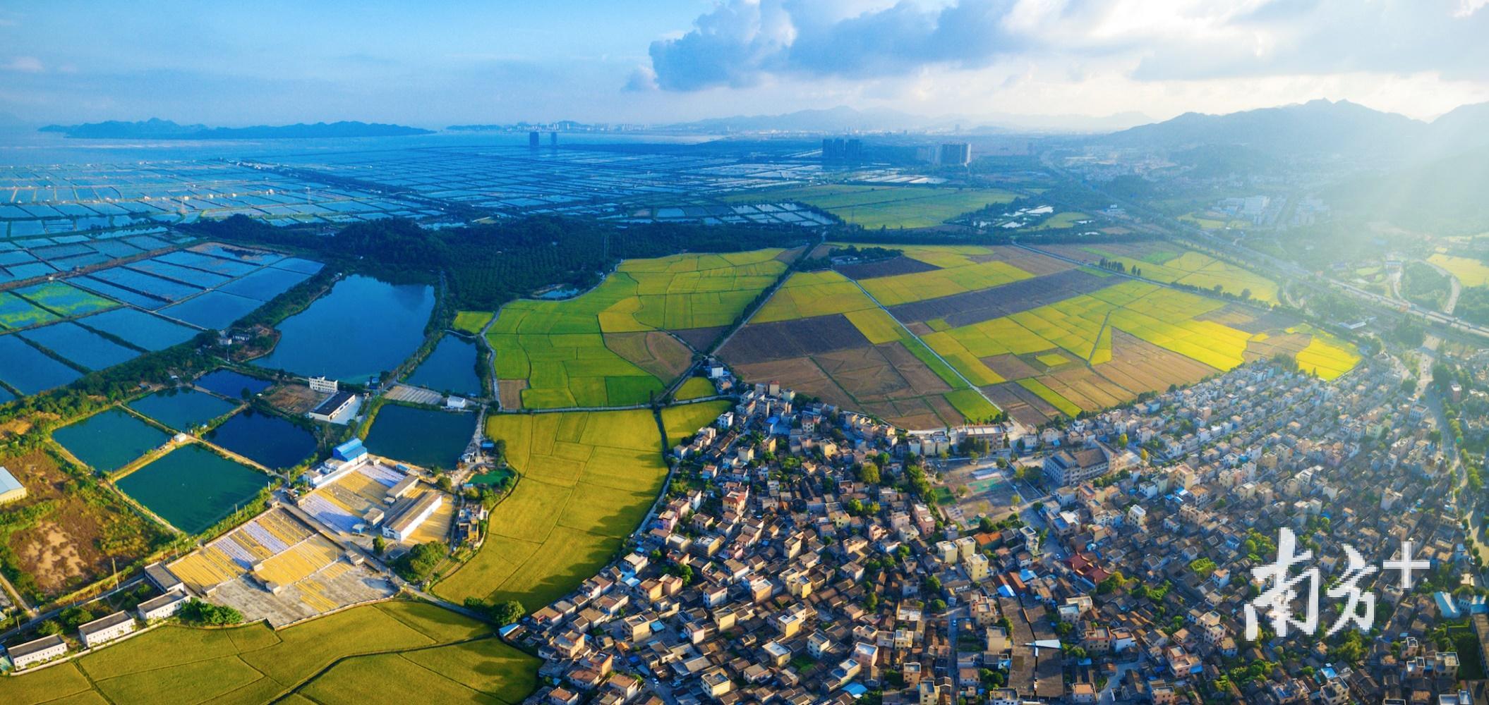 南朗镇崖口村。陈俊生摄