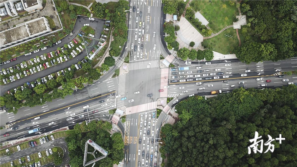 视频让市民行有优乘莞事论坛第二期聚焦东莞交通综合治理