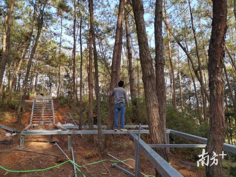 300米木栈道春节前可完工。