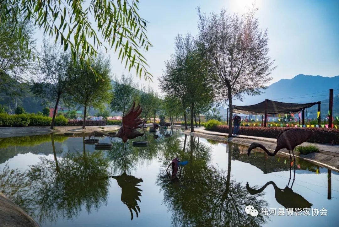 陆河县南万镇摄影大赛作品来袭有你心水的