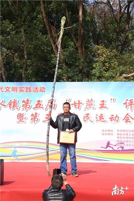 来自横石水镇塔岗村的14.2斤参选甘蔗荣获第五届“甘蔗王”的称号。陈咏怀 摄 来自横石水镇塔岗村的14.2斤参选甘蔗荣获第五届“甘蔗王”的称号。陈咏怀 摄