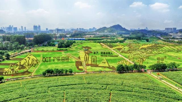 农业产业规划引领未来发展方向