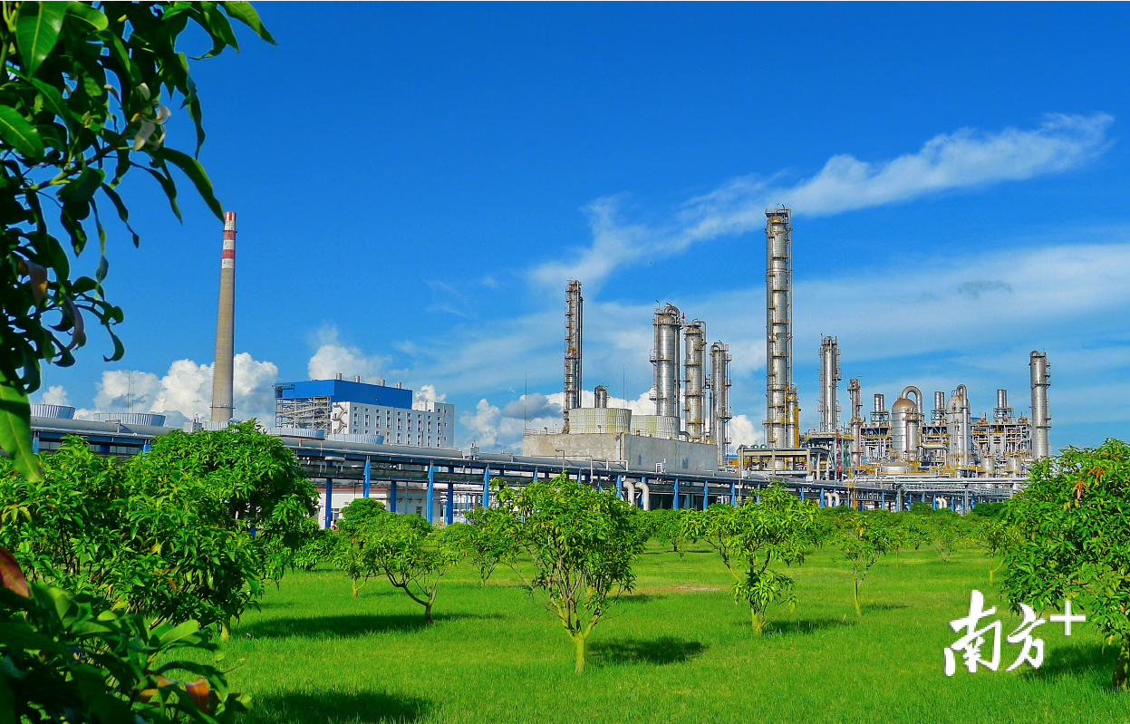茂名石化建设无泄漏装置、无异味厂区、花园式工厂，是中国石化首批绿色企业。柯裕清 摄