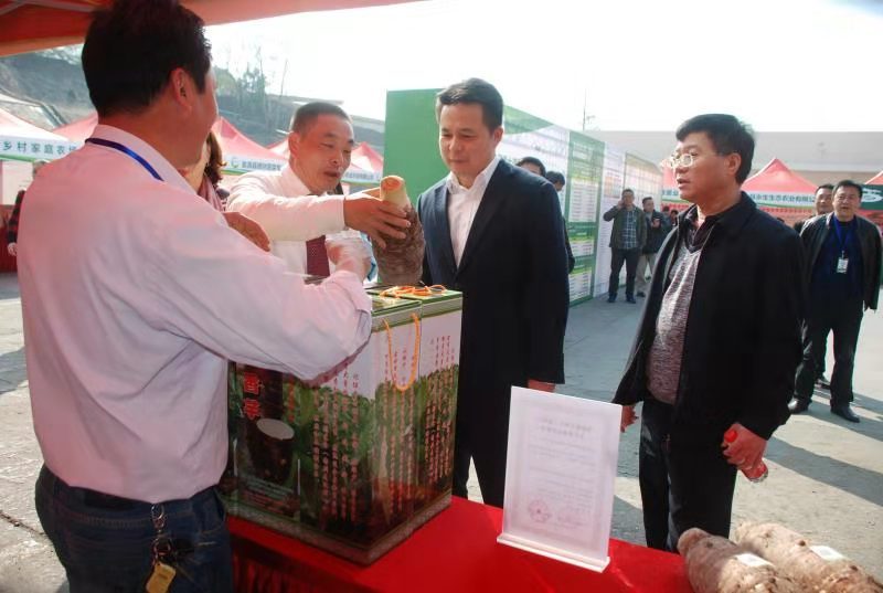 善美韶农区域公用品牌发布韶关全力打造大湾区菜篮子基地