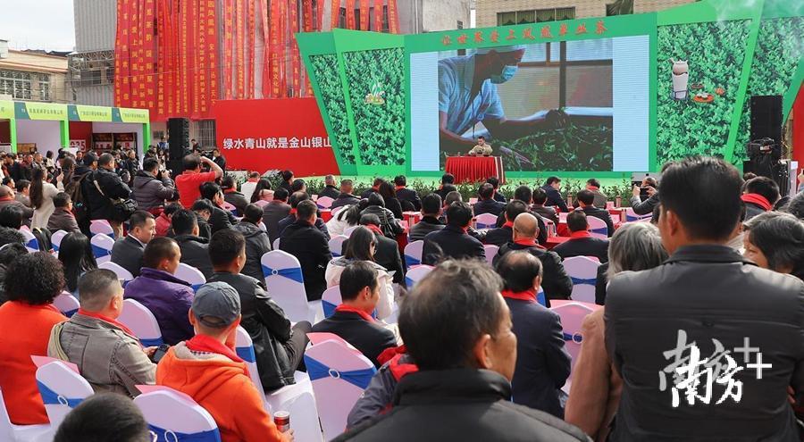 凤凰小镇已举办两届国际潮州凤凰单丛茶文化旅游节