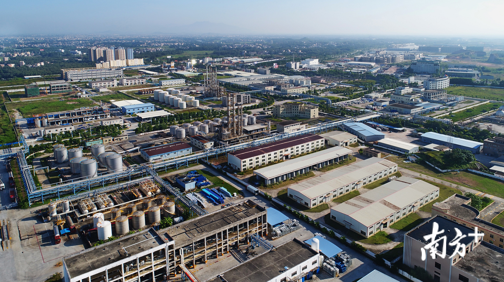 茂名高新区。丘立贺 摄
