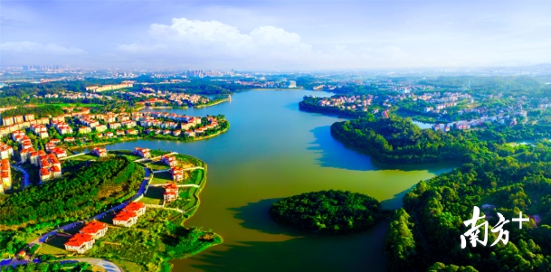 丹灶仙湖氢谷。丹灶镇宣传文体办供图