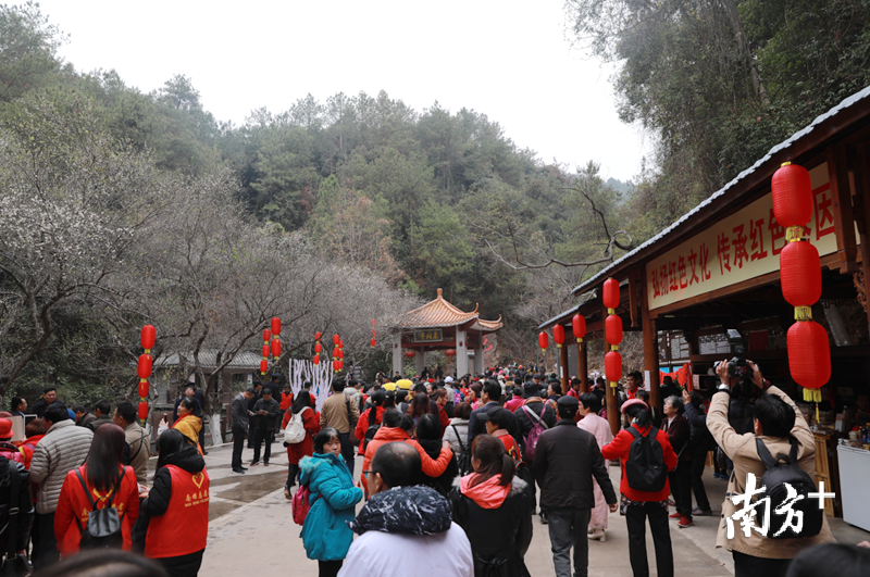 古驿道吸引众多游客前来踏雪寻梅。