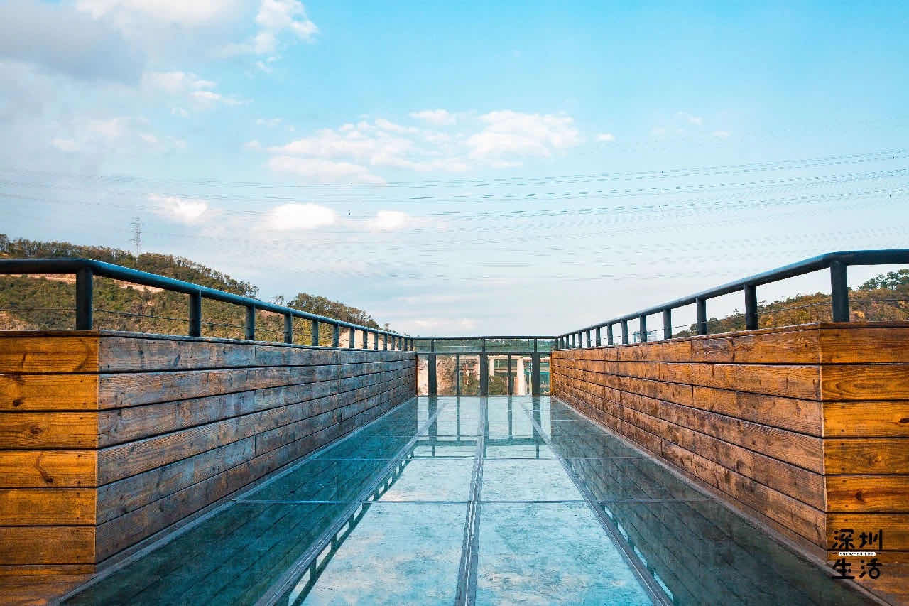 图片来源于“深圳生活” 图片来源于“深圳生活”