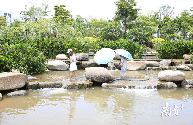 茅洲河。南方日报记者 鲁力 摄 茅洲河。南方日报记者 鲁力 摄