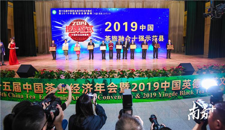 10月21日至24日，第十五届中国茶业经济年会暨2019英德红茶文化节在清远市英德市举办。 记者 曾亮超 摄