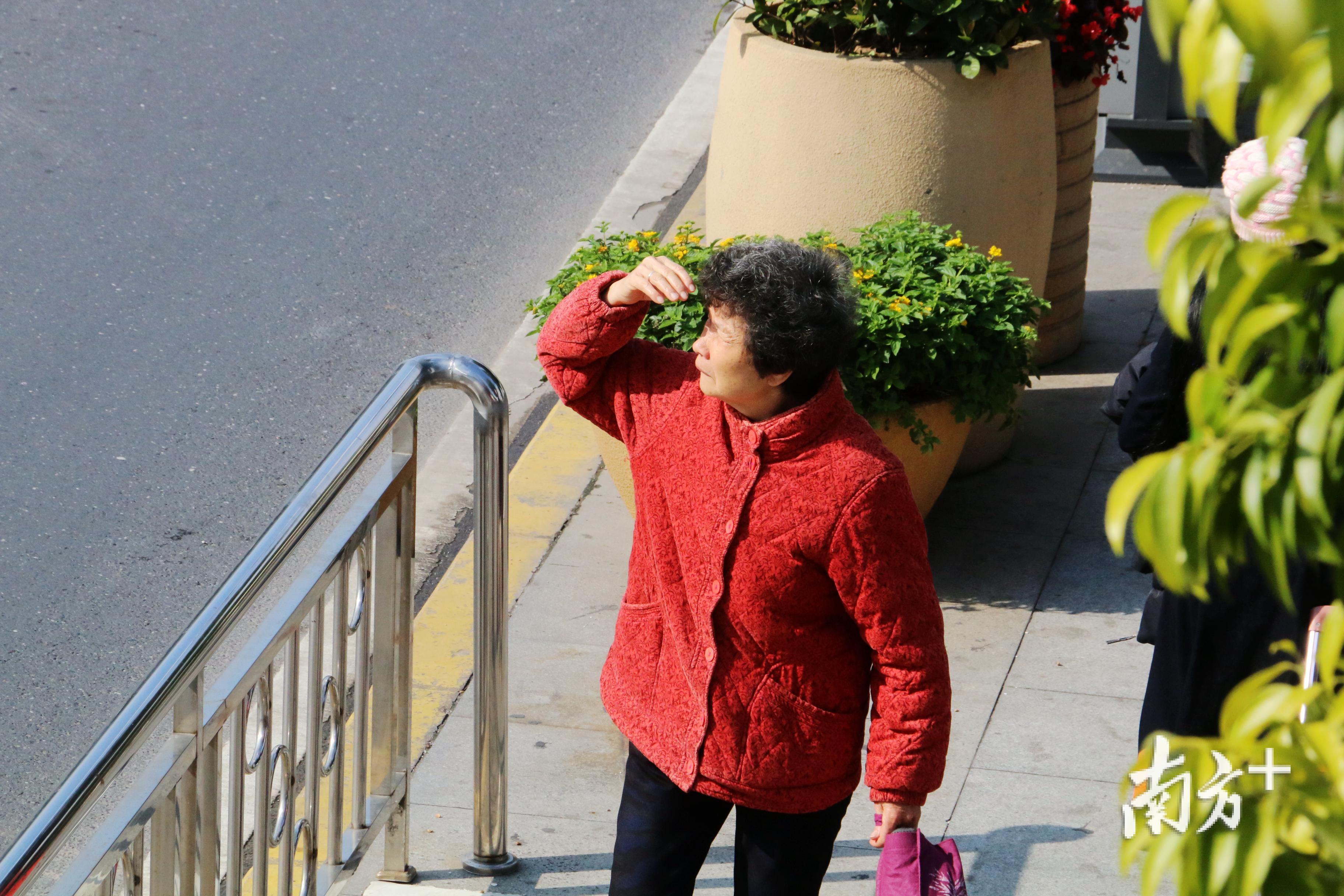 散步的老姿娘。