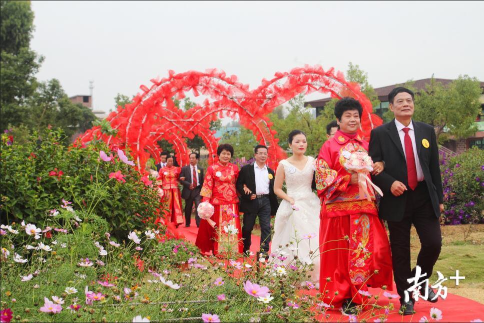 爱侣中不乏银婚、金婚夫妇 爱侣中不乏银婚、金婚夫妇