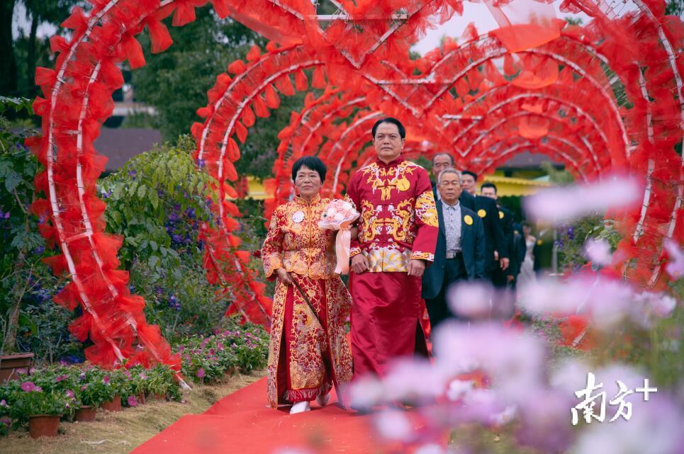 林平涛、许巧婵迎来金婚之年。江浩 摄 林平涛、许巧婵迎来金婚之年。江浩 摄