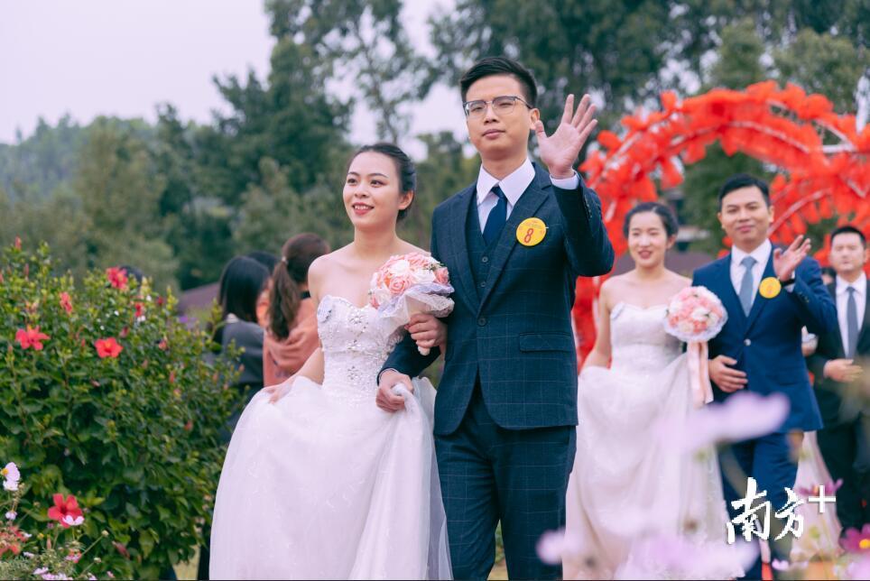 百对爱侣穿过花门。江浩 摄 百对爱侣穿过花门。江浩 摄