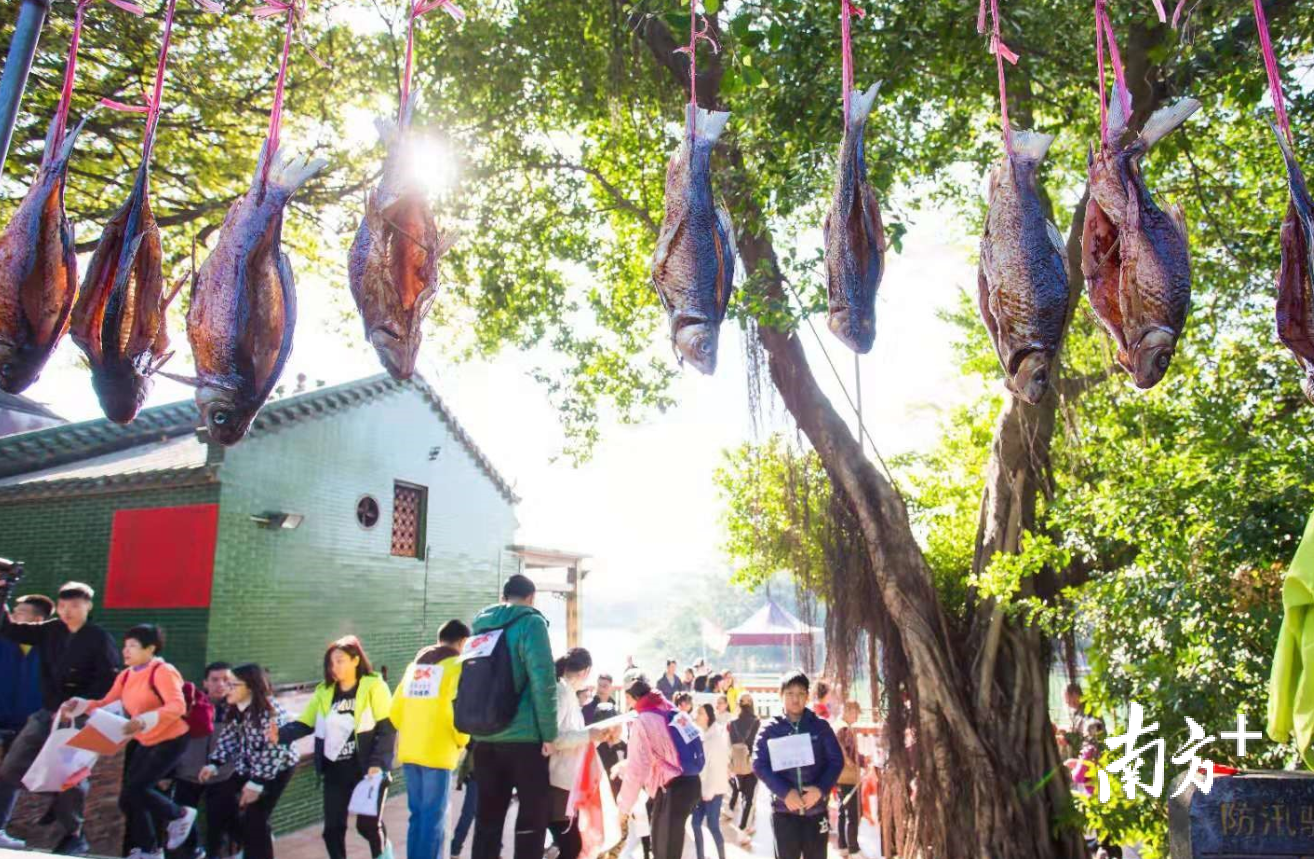 顺德将教育引导农村群众树立“自己的家园自己建自己管”的理念，合力提升人居环境，实现城乡形态和人居环境凤凰涅槃。资料图片