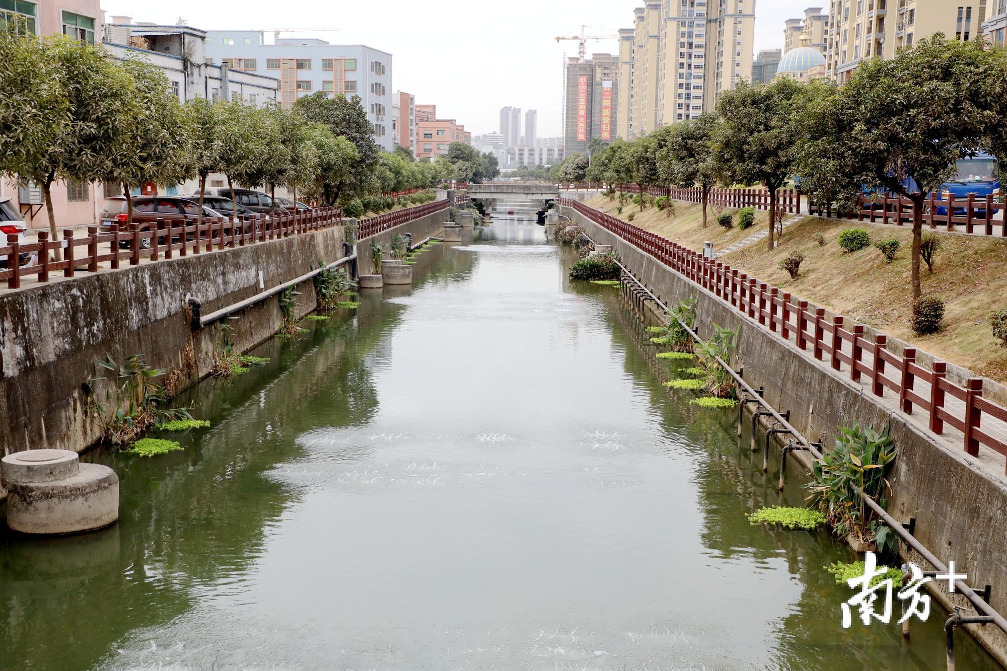 力保石马河水质今年稳定达标东莞市决战督导工作组再吹集结号