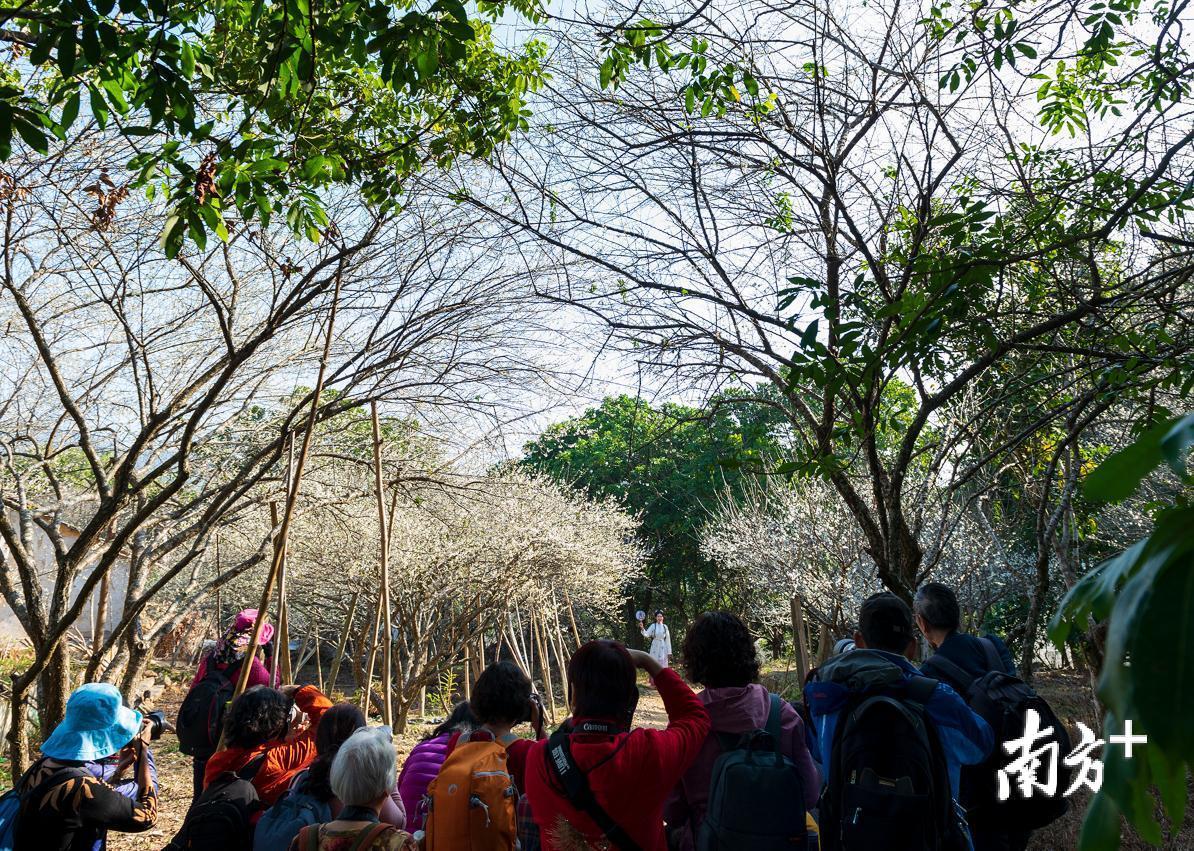 陈锡荣 摄 陈锡荣 摄