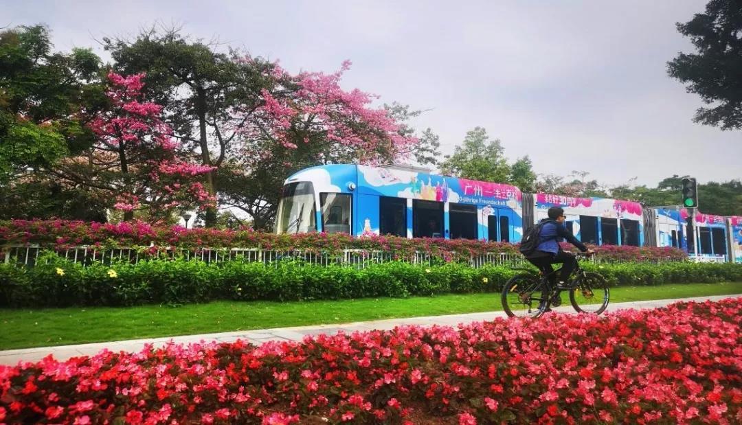 广州有轨电车行驶在如画的景色中。新华网发（陈鸿 摄）