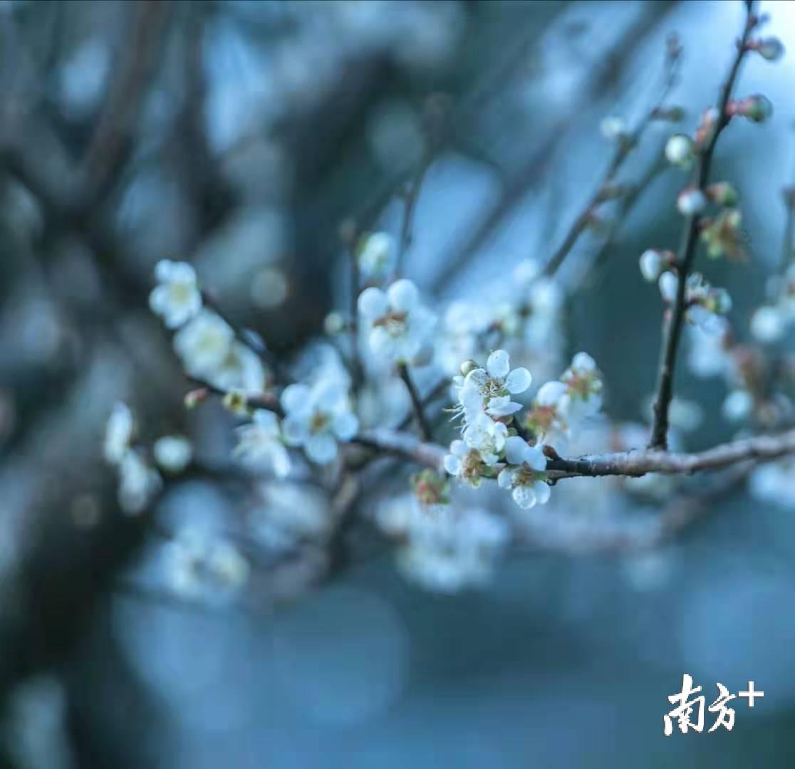 庄建明 摄 庄建明 摄