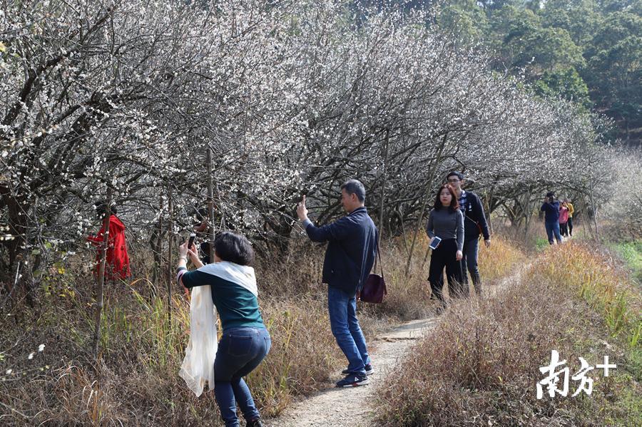 洪志滨 摄 洪志滨 摄