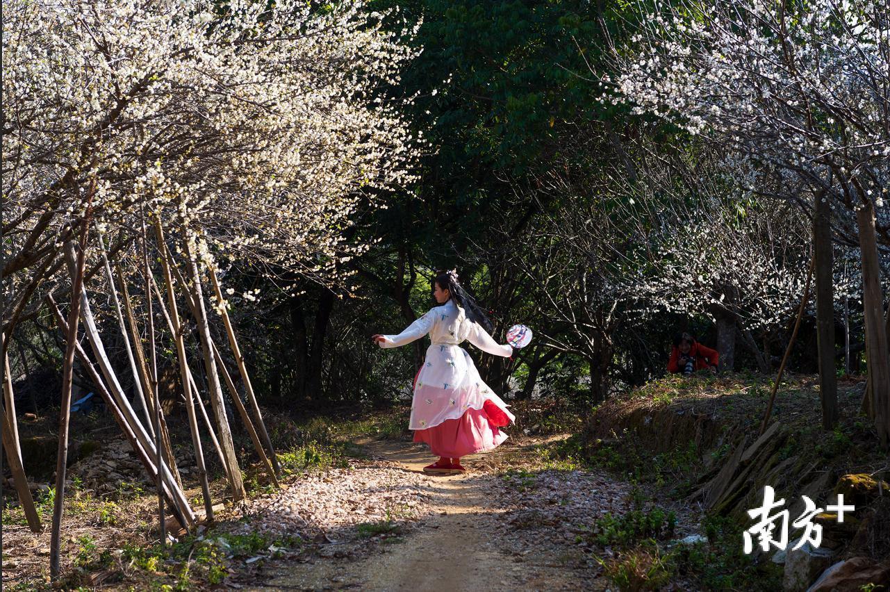 陈锡荣 摄 陈锡荣 摄