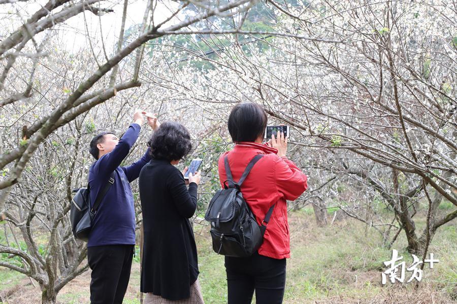 洪志滨 摄 洪志滨 摄