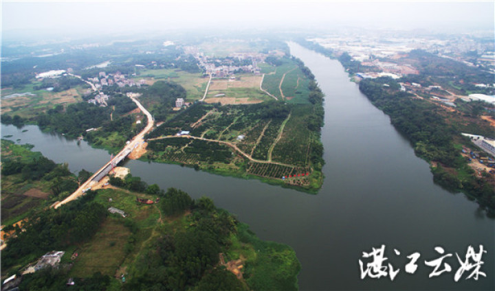 廉江市石岭镇九洲江(右)与武陵江交汇处，九洲江江面宽阔无漂浮物，岸绿水清。 记者 李忠 航拍 