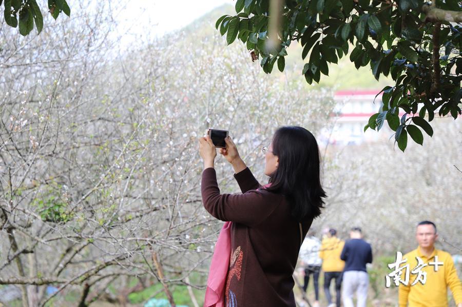 洪志滨 摄 洪志滨 摄