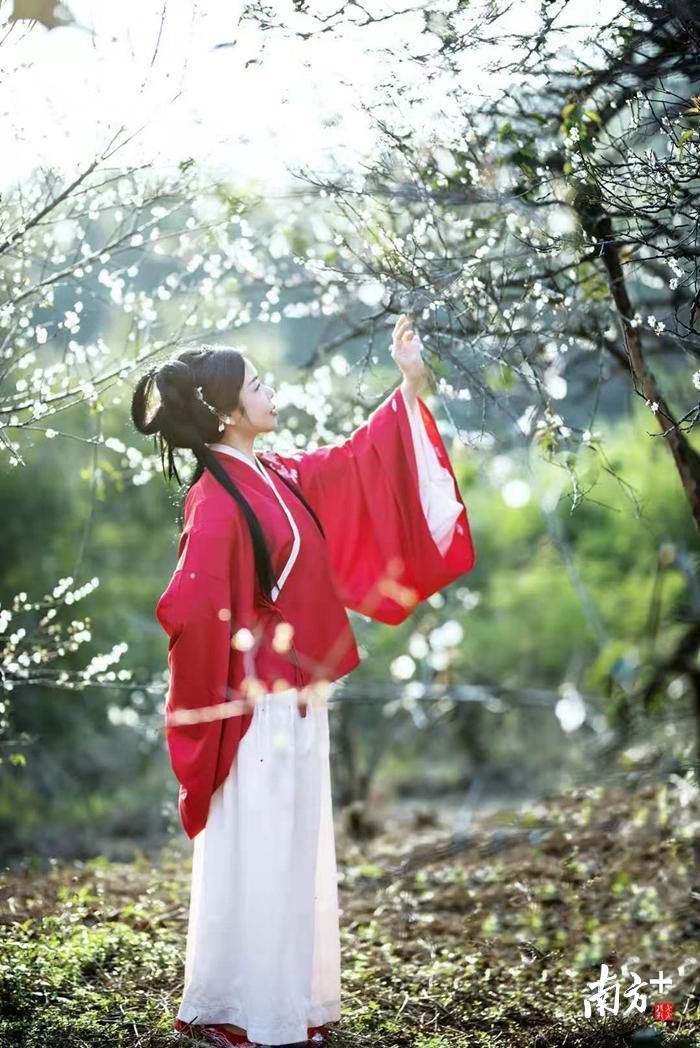 南方拍客“奕奕” 摄 南方拍客“奕奕” 摄