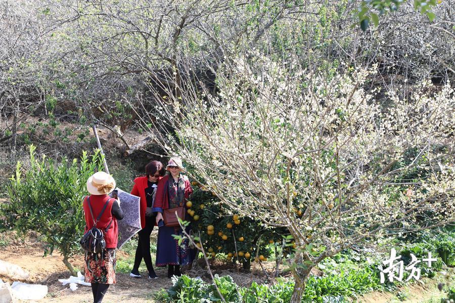 洪志滨 摄 洪志滨 摄