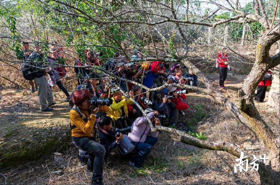 陈锡荣 摄 陈锡荣 摄