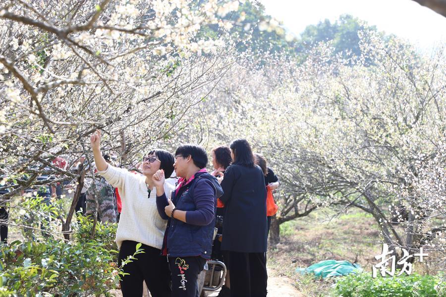 洪志滨 摄 洪志滨 摄