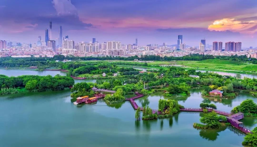 广州城区湿地景观。