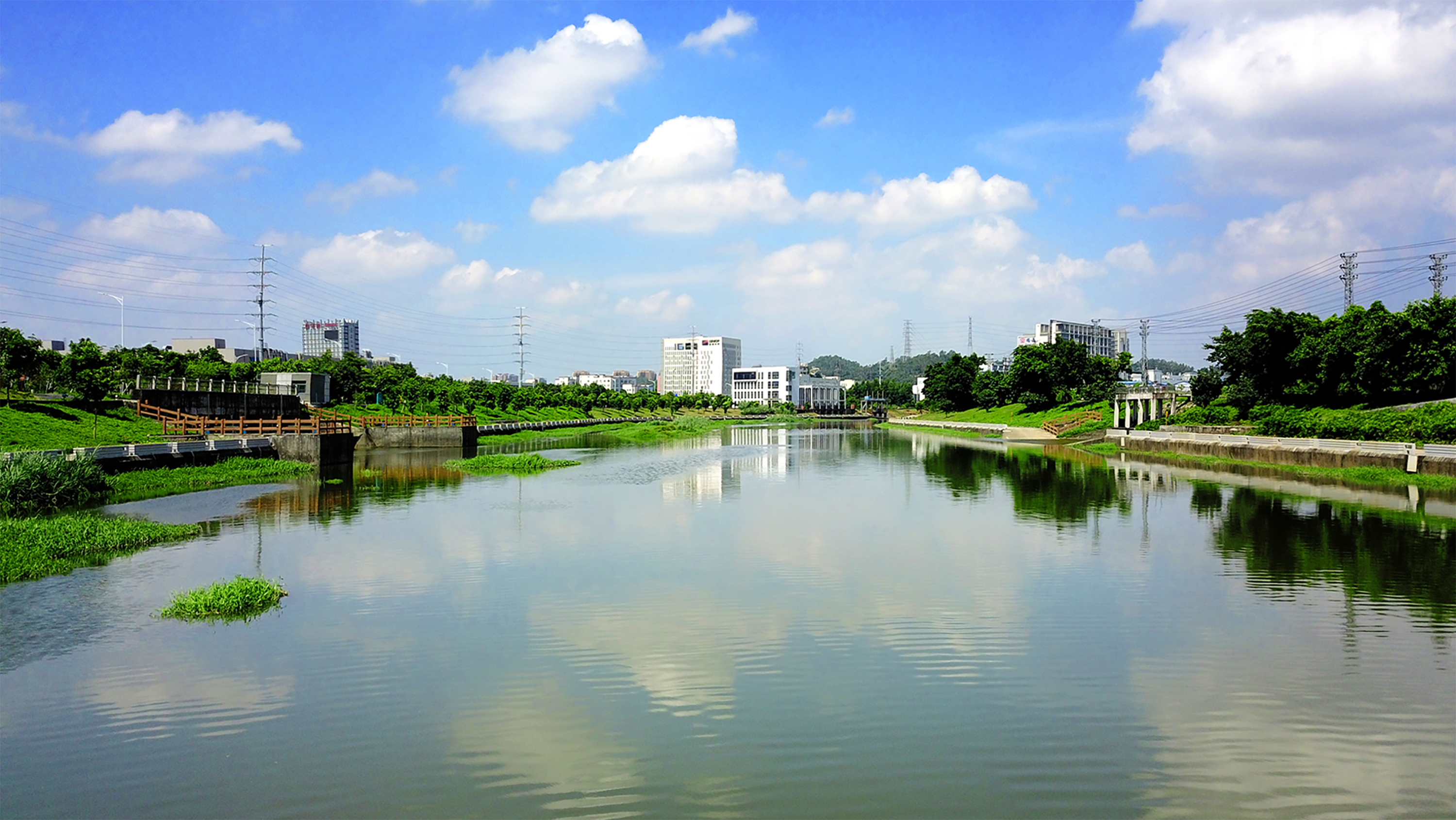 "茅洲河水变清了,深圳这条曾经的污染河今列入省级碧道试点