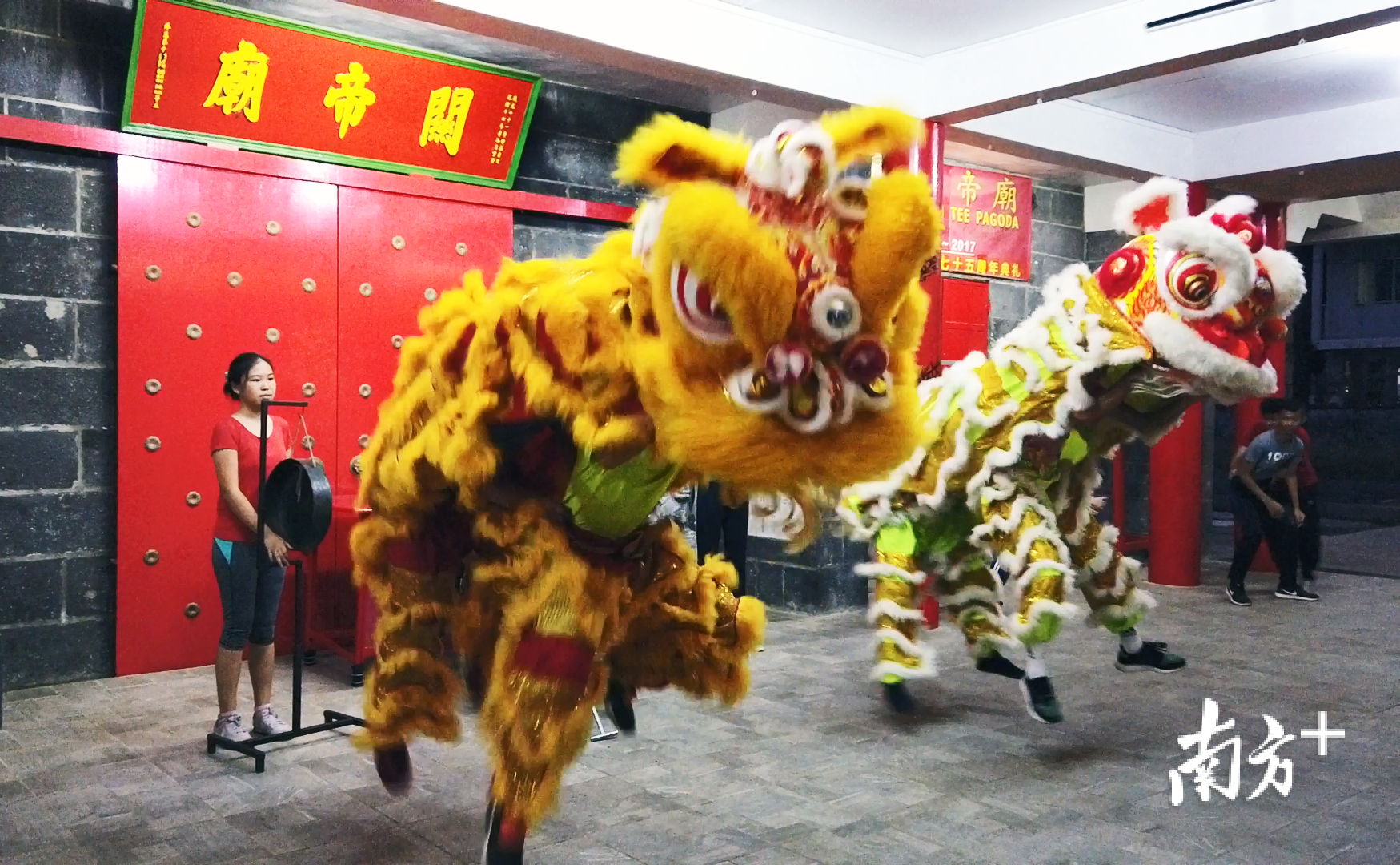 每周三和周六下午6时到8时，年轻人便聚集在关帝庙前训练，这一习惯已经持续了20多年。田人心 摄