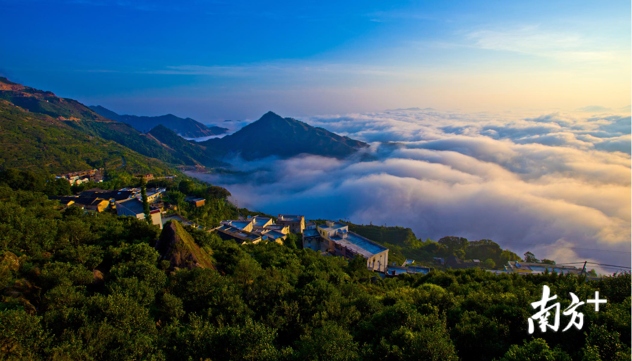 凤凰古茶树茶园获评全省唯一“中国最美茶园”。文少庆摄