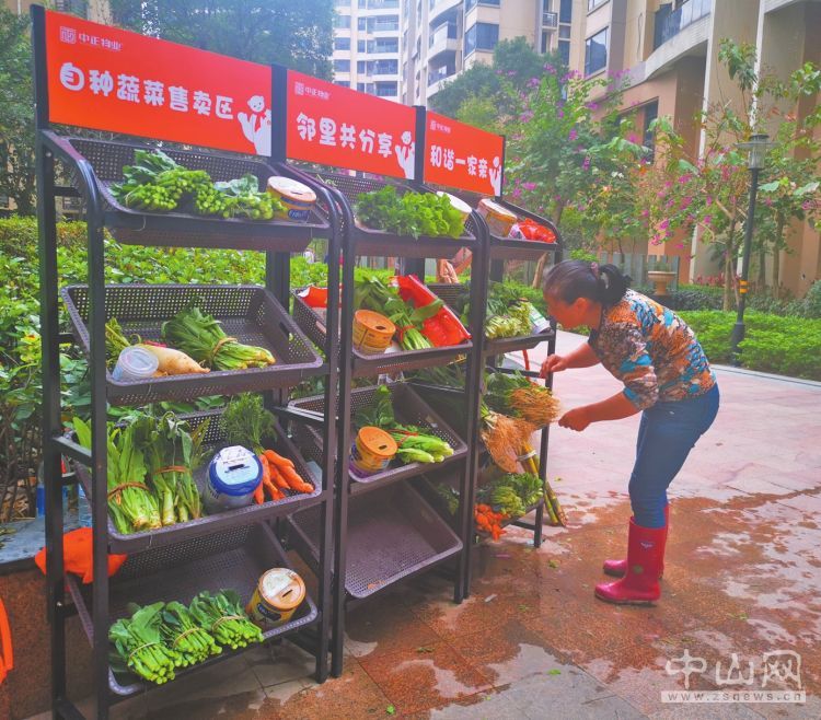 罗凤珍老人正在将新鲜蔬菜放进摊位。