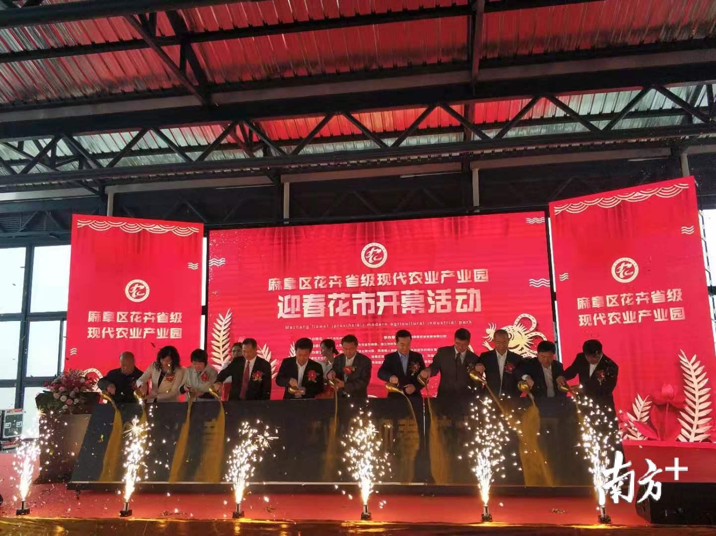 麻章区花卉省级现代农业产业园迎春花市开幕仪式。