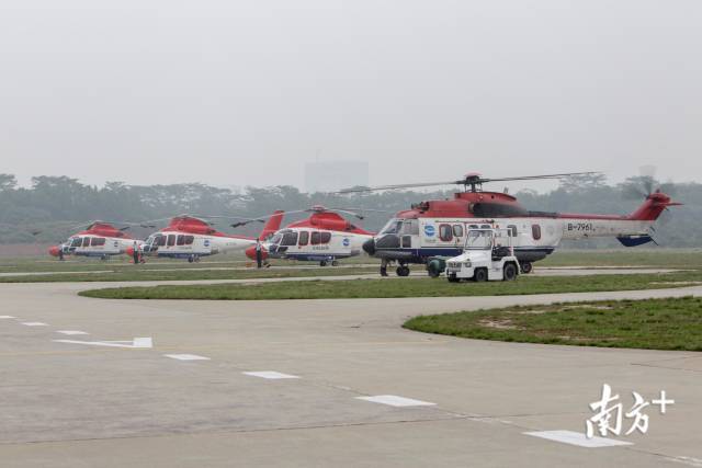 南头直升机场迁址龙华,为深圳高新区释放约1200万平方米空间。图为南头直升机场直升机整齐停放。 南方日报记者 鲁力 摄 南头直升机场迁址龙华,为深圳高新区释放约1200万平方米空间。图为南头直升机场直升机整齐停放。 南方日报记者 鲁力 摄