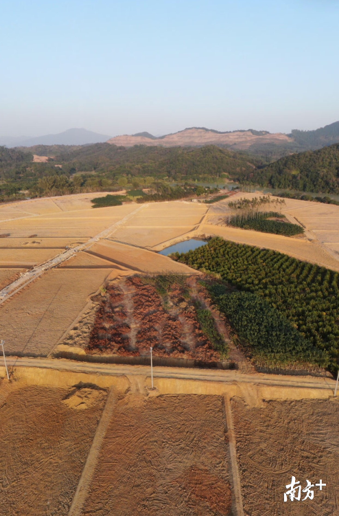 岭湾村水田垦造顺利推进