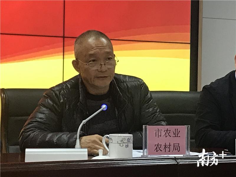 台山市农业农村局副局长杨景业。 台山市农业农村局副局长杨景业。